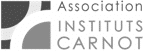 logo gris instituts-carnot